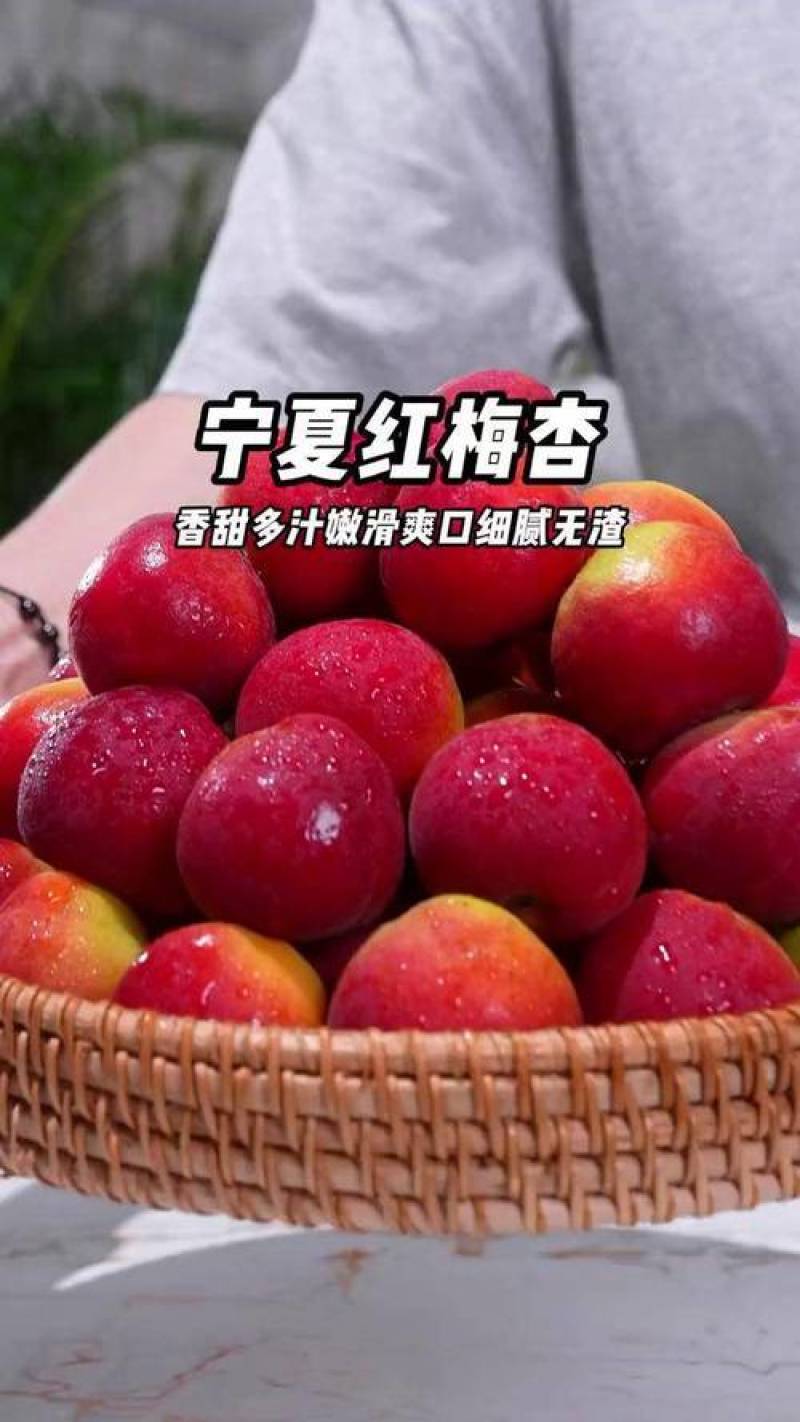 香甜可口多汁的红梅杏上市了
