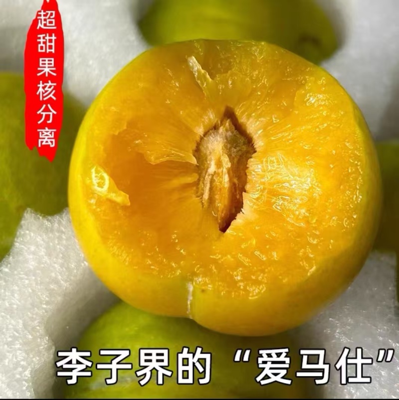 蜂糖李