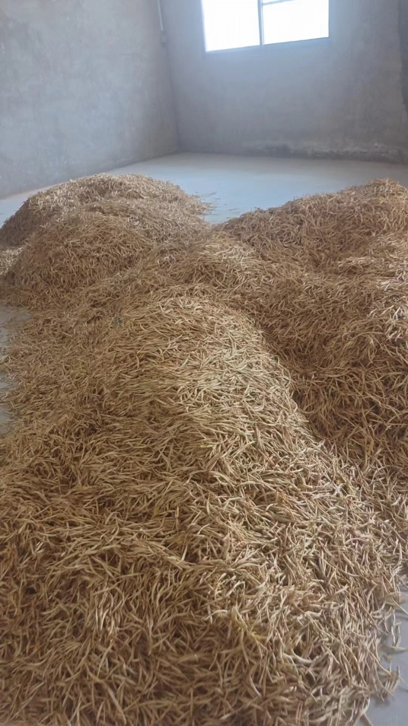 大荔优质黄花菜大量上市了，有需要的客户可以和我联系