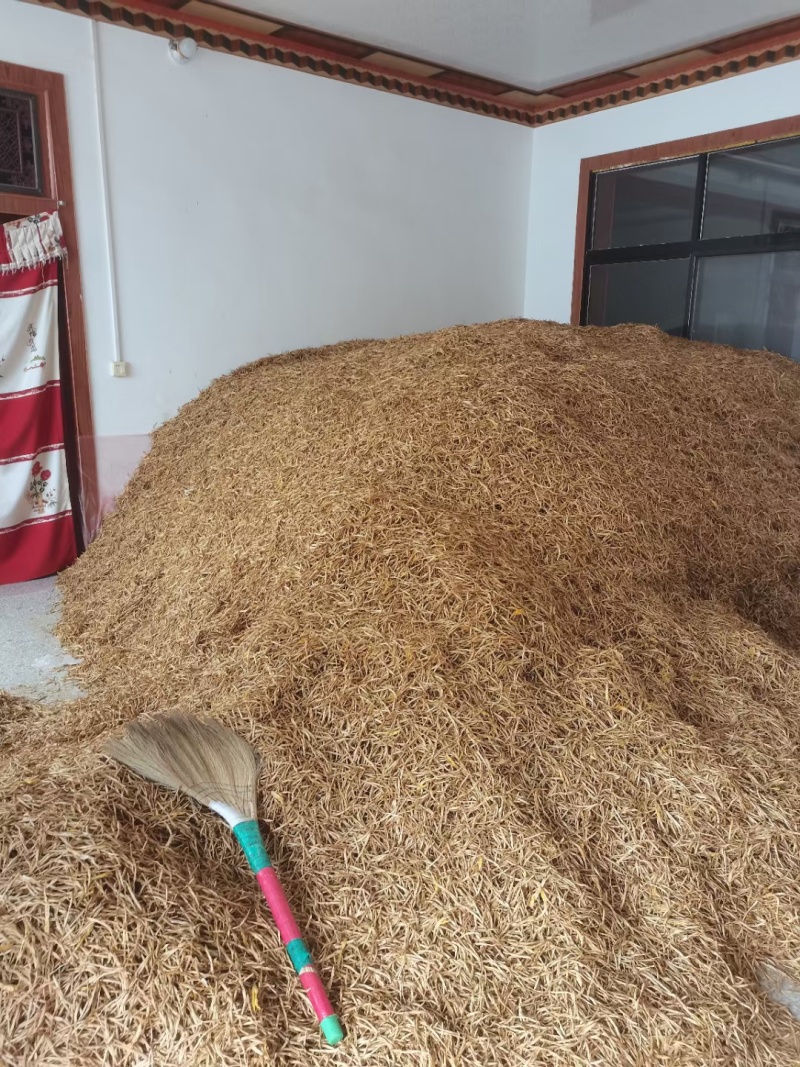 大荔优质黄花菜大量上市了，有需要的客户可以和我联系