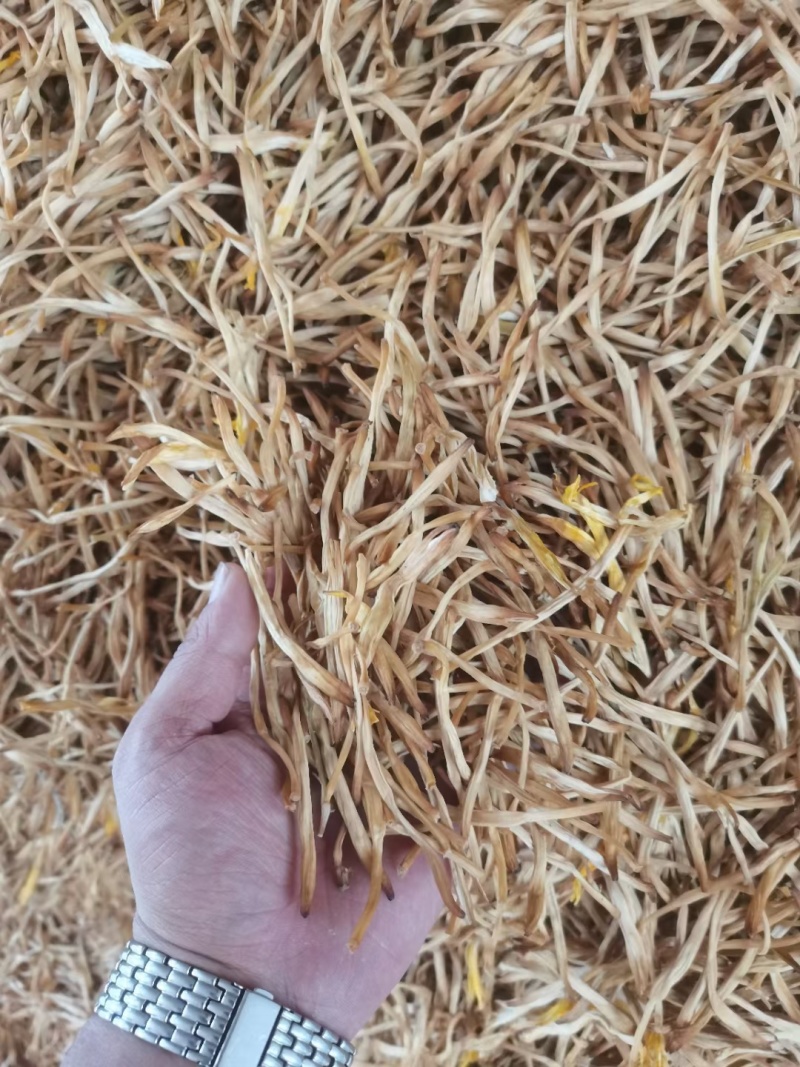 大荔优质黄花菜大量上市了，有需要的客户可以和我联系