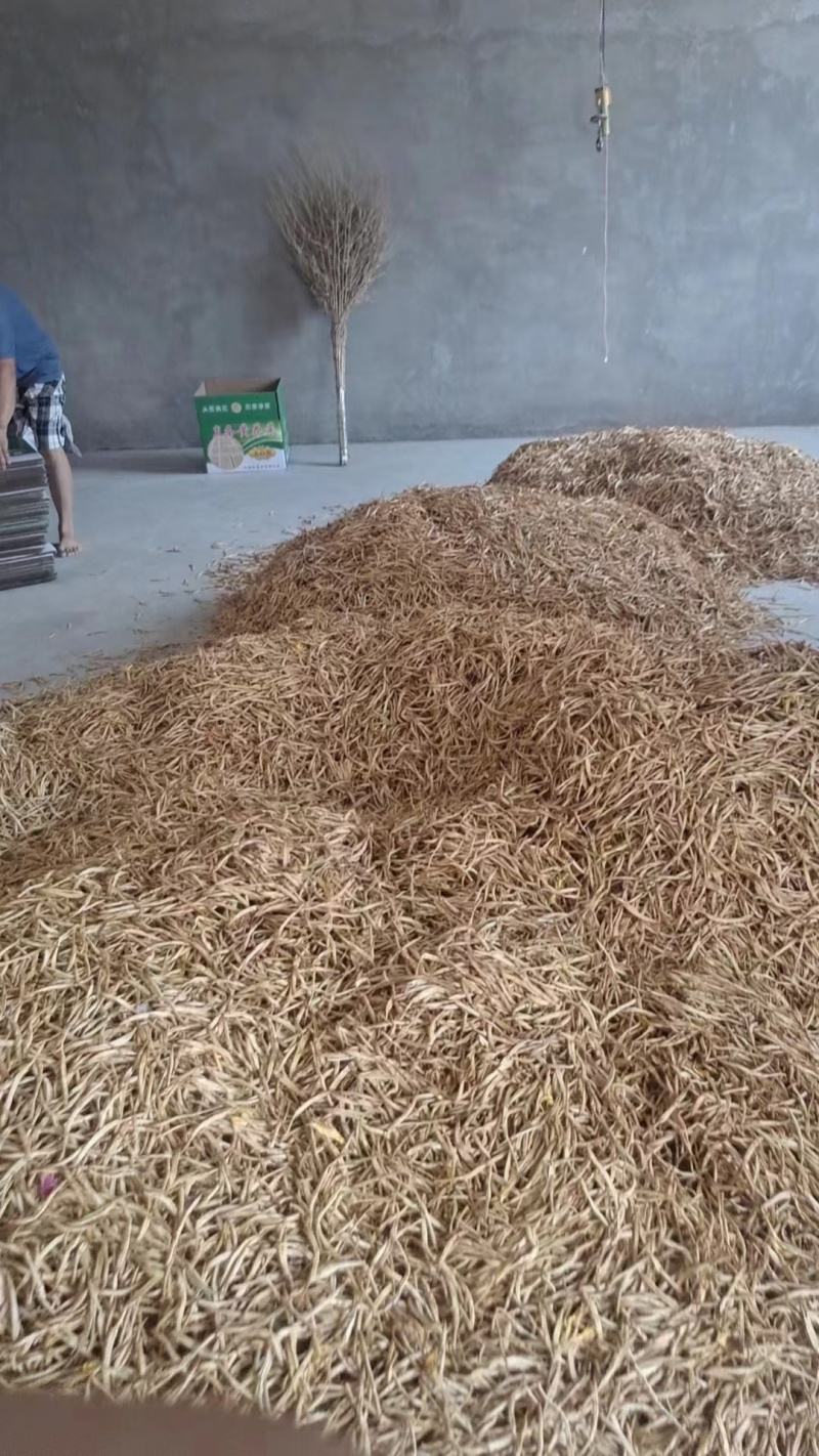 大荔优质黄花菜大量上市了，有需要的客户可以和我联系