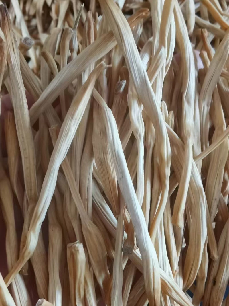 大荔优质黄花菜大量上市了，有需要的客户可以和我联系