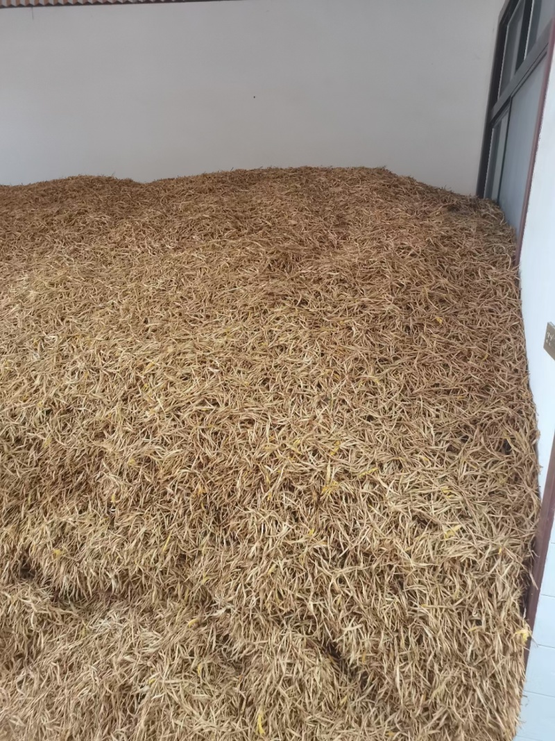 大荔优质黄花菜大量上市了，有需要的客户可以和我联系