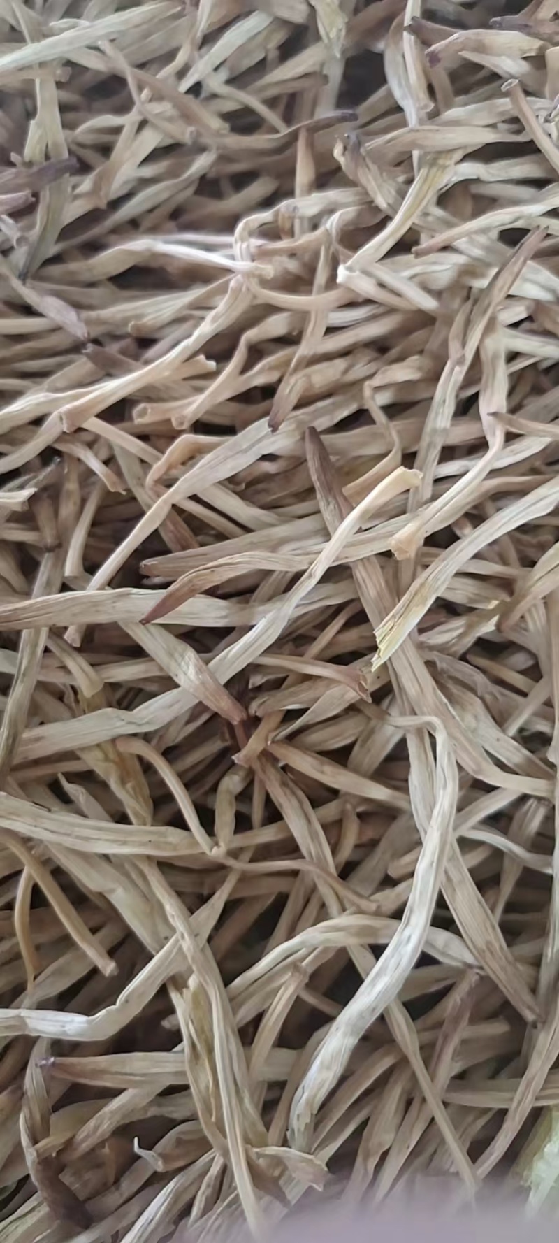 大荔优质黄花菜大量上市了，有需要的客户可以和我联系