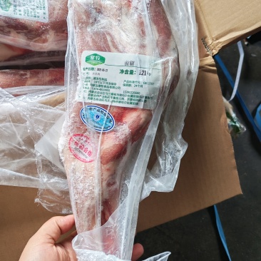 内蒙羔羊羊前腿