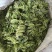 湖南山银花大量出倍