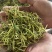 湖南山银花大量出倍