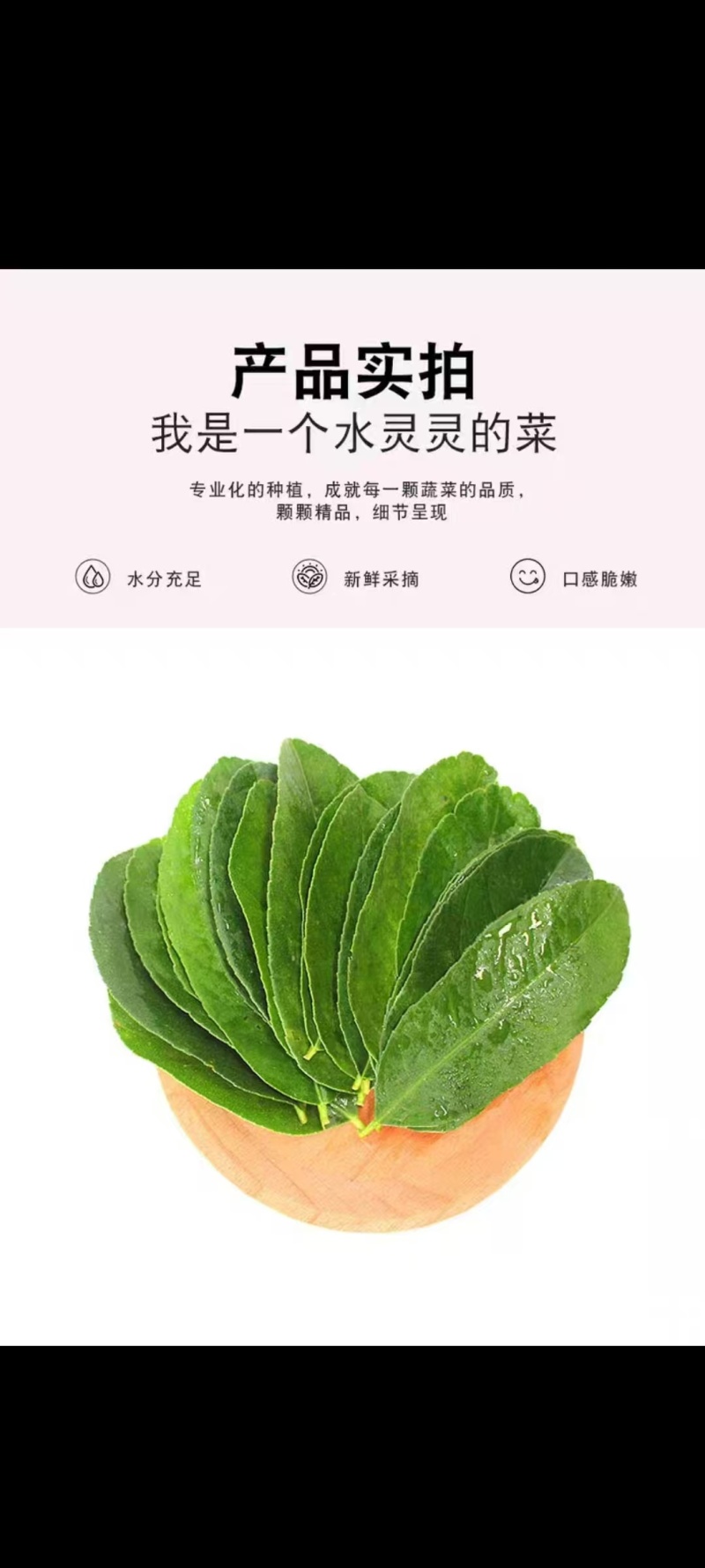 广东香水柠檬叶，新鲜柠檬叶，鱼生寿司西餐厅高端食材