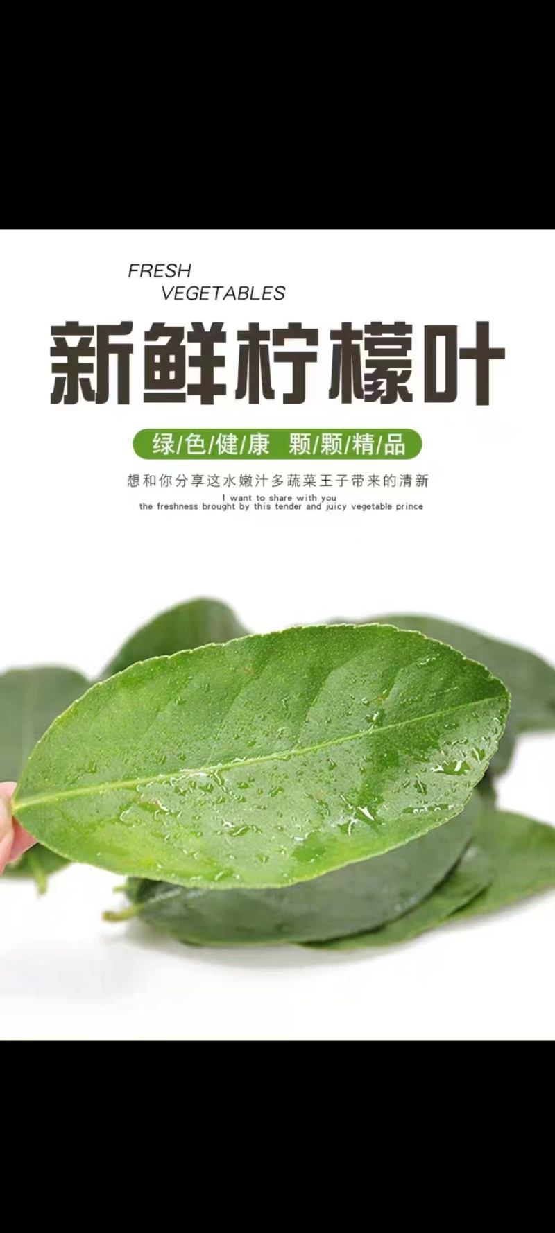 广东香水柠檬叶，新鲜柠檬叶，鱼生寿司西餐厅高端食材