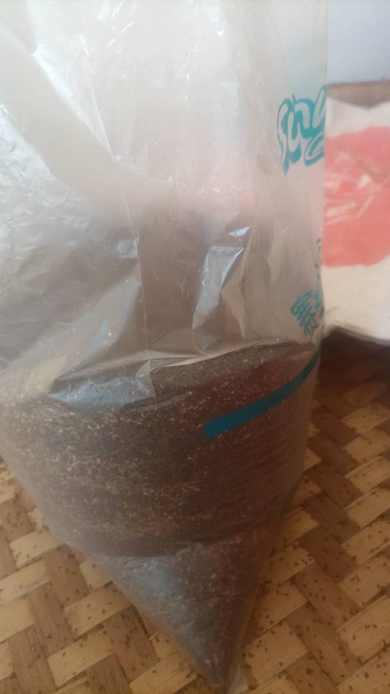 车前草子