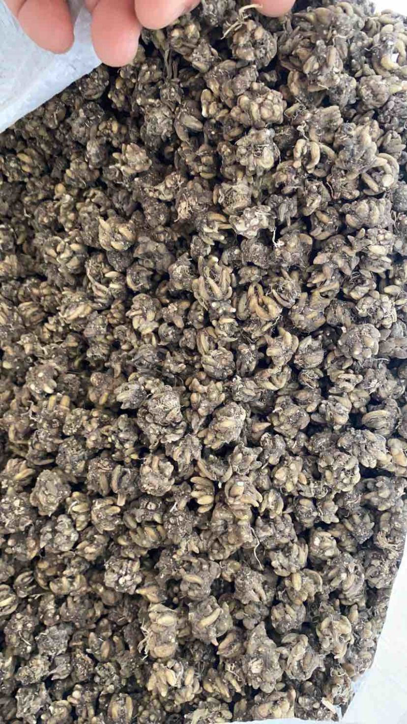 类型不一样，价钱不一样