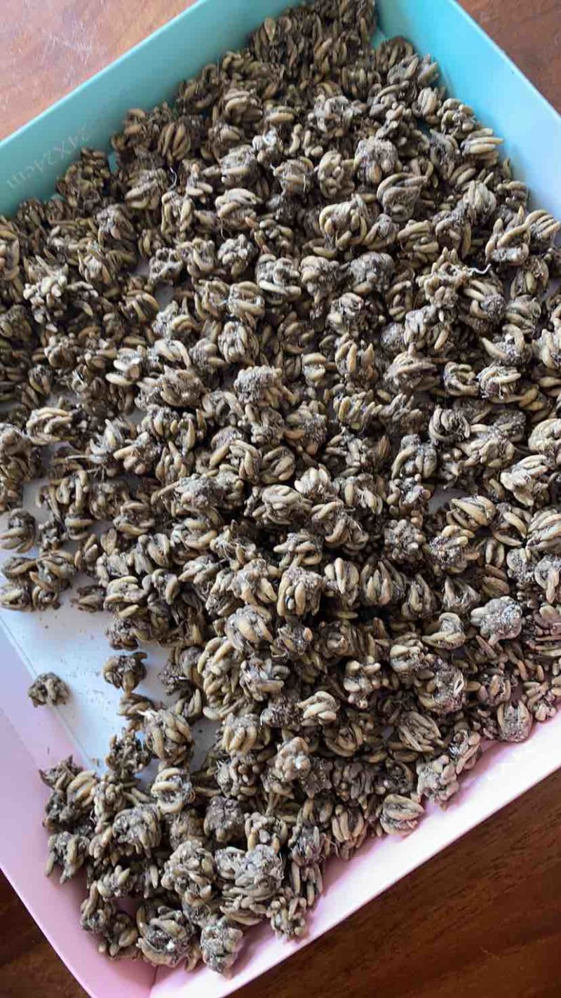 类型不一样，价钱不一样