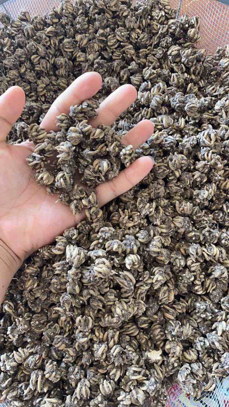 类型不一样，价钱不一样