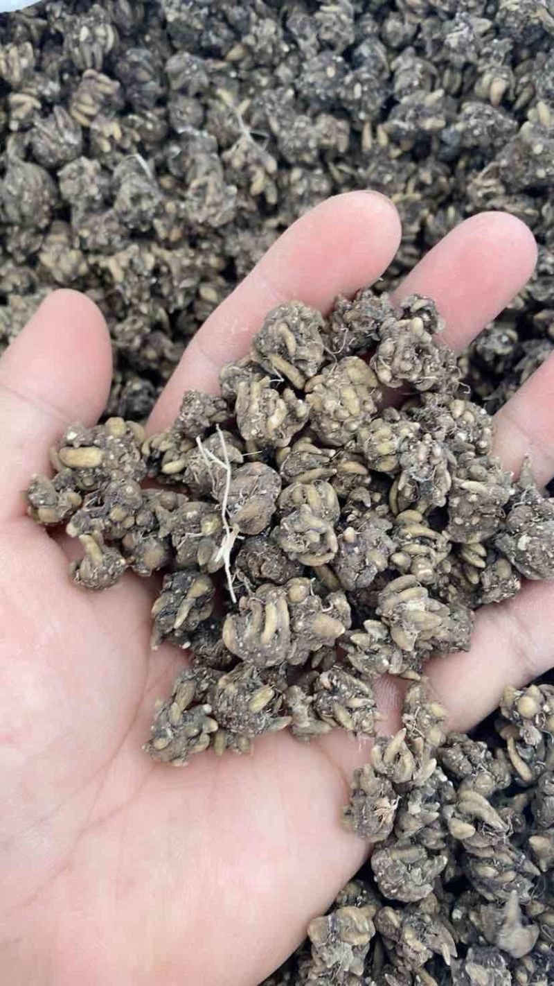 类型不一样，价钱不一样