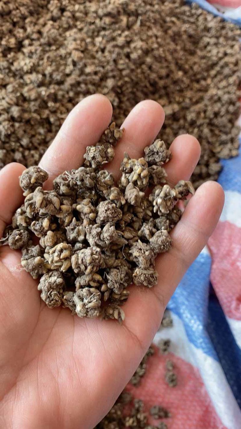 类型不一样，价钱不一样