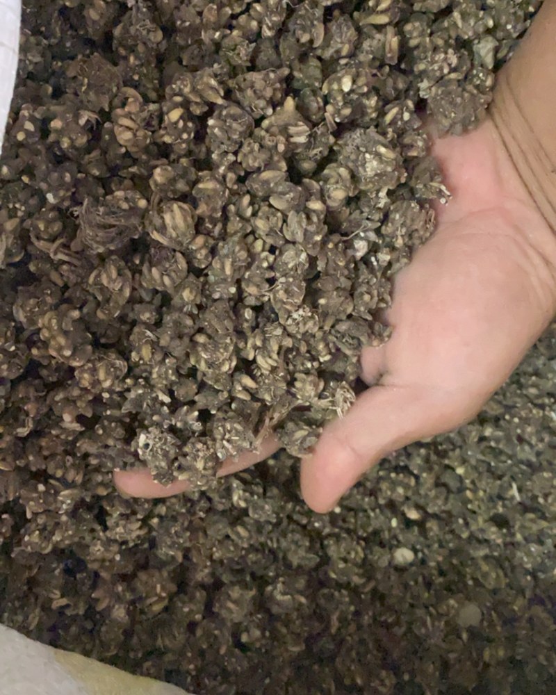 类型不一样，价钱不一样