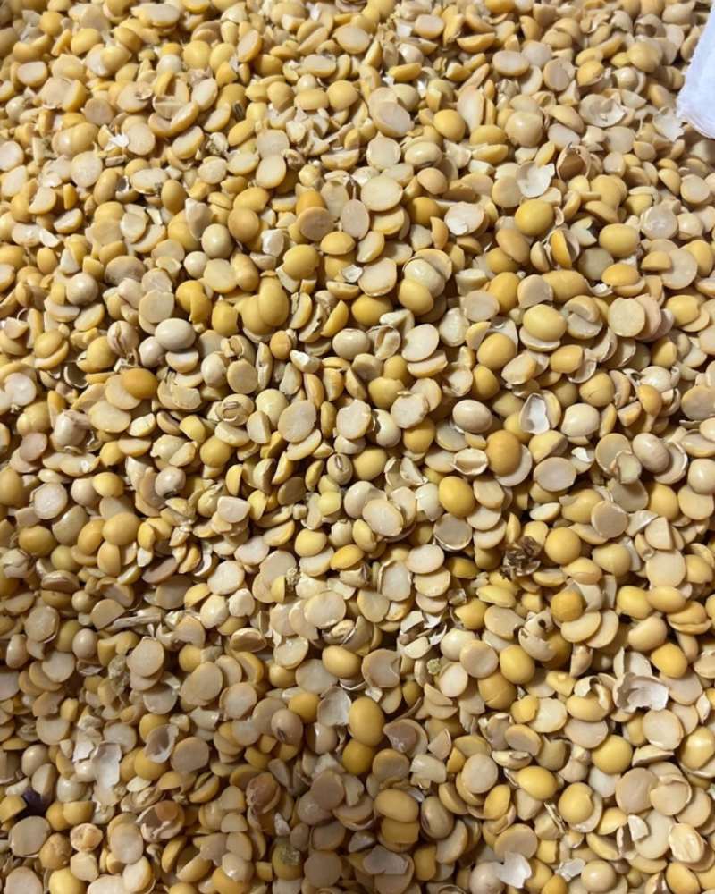 碎黄豆，肥料豆，养殖豆