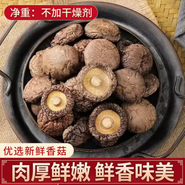 香菇干