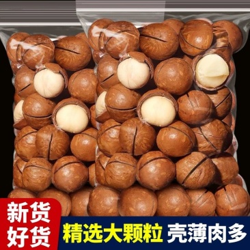 夏威夷果一件代发