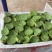水果莲蓬5/7成熟，8公分起，根据莲蓬大小空籽3/4个