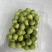 水果莲蓬5/7成熟，8公分起，根据莲蓬大小空籽3/4个