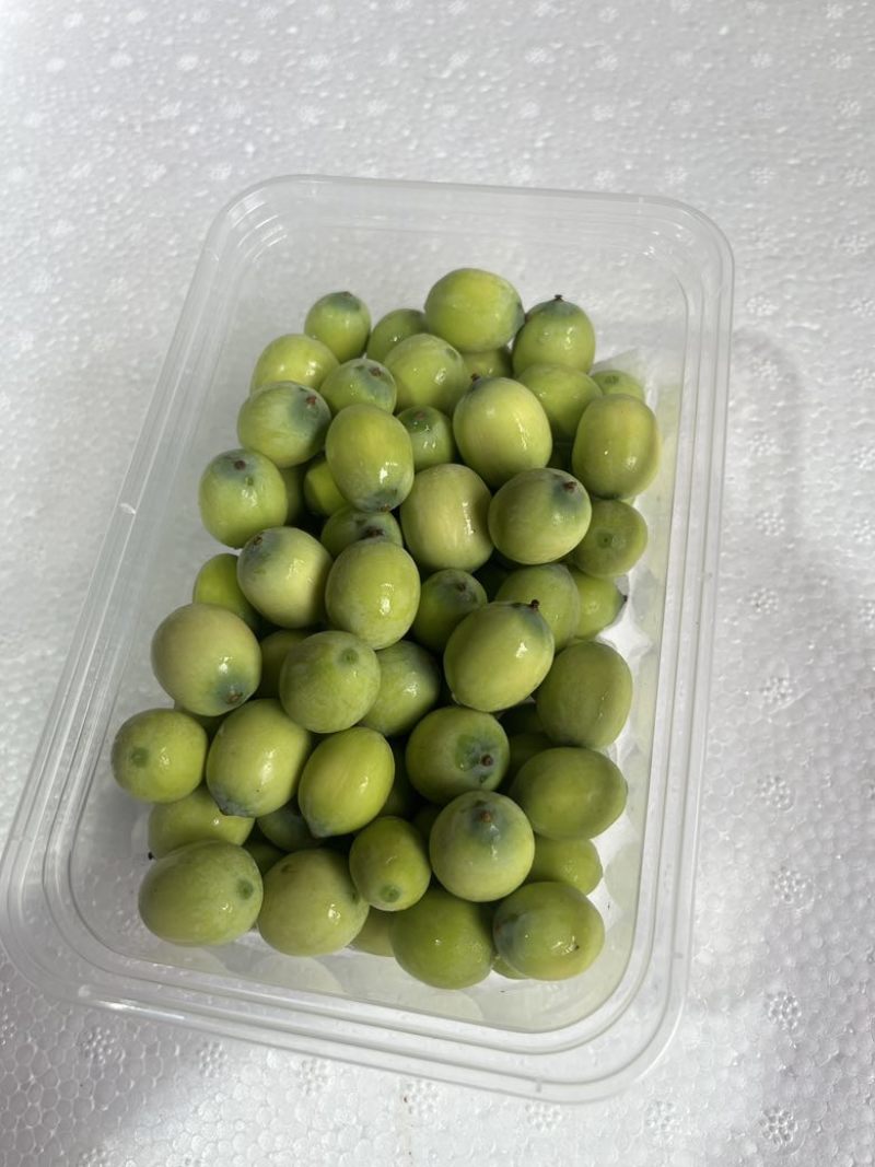 水果莲蓬5/7成熟，8公分起，根据莲蓬大小空籽3/4个