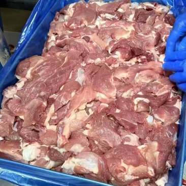 母猪精碎肉新开检疫