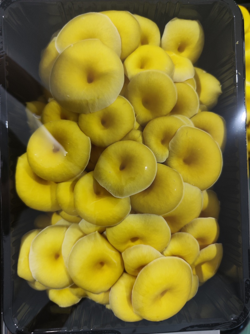 精品榆黄蘑，鸡油菌，黄金菇