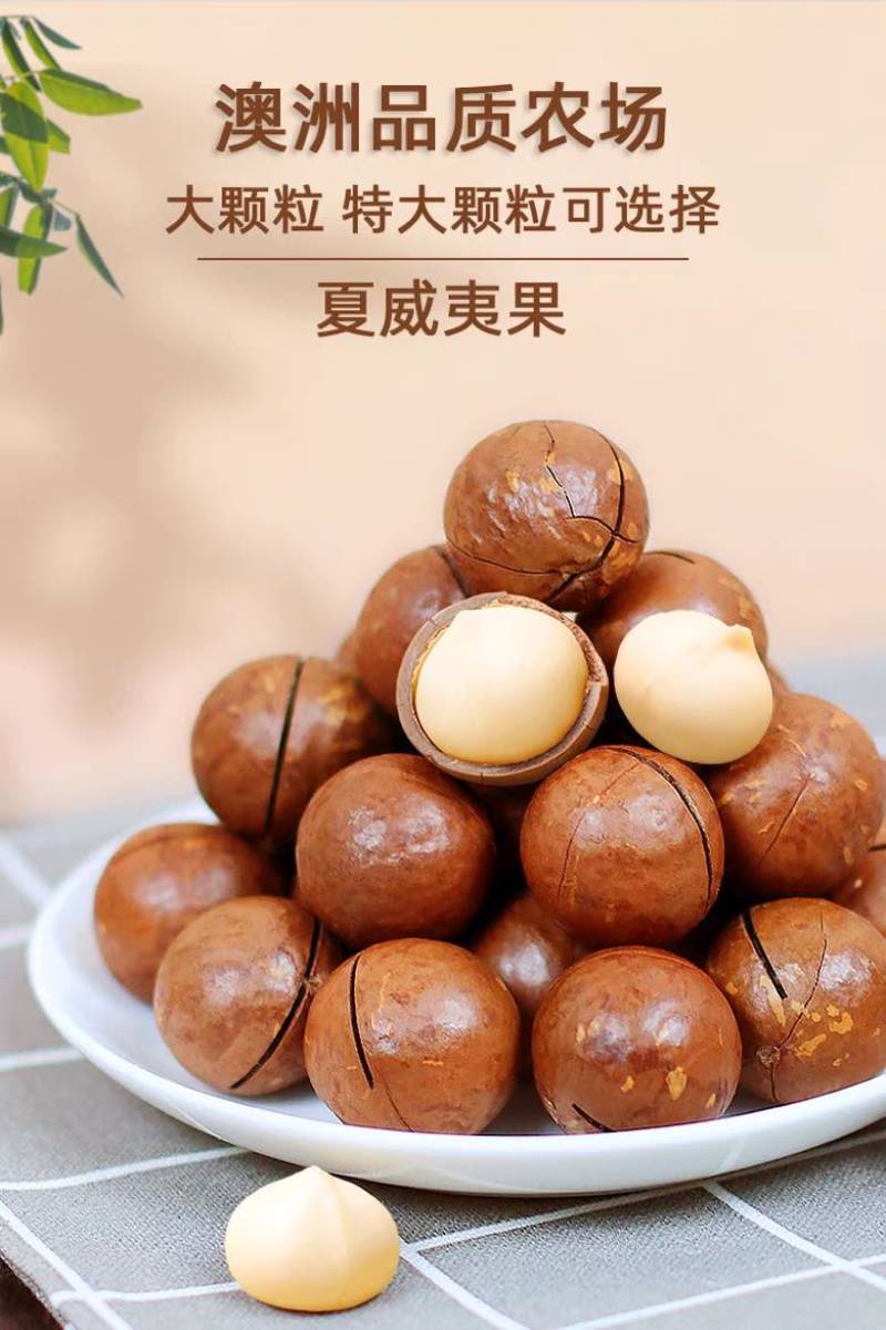 夏威夷果电商**