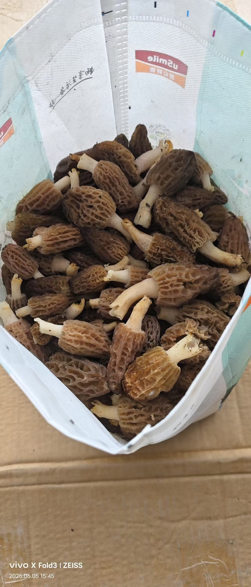 野生羊肚菌，干货