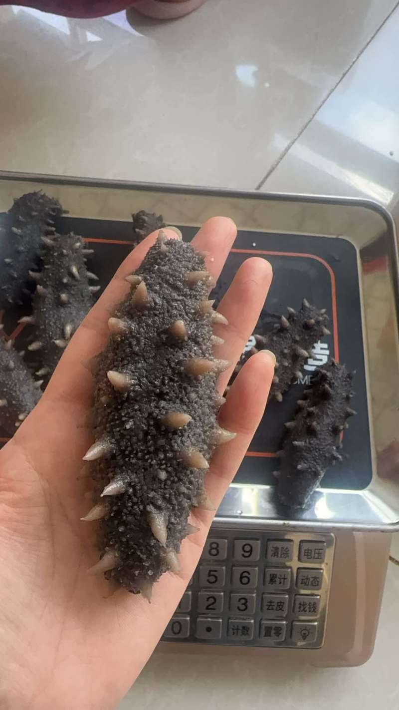 海参，即食海参，辽刺大连海参，厂家直销售，质量保证，规格齐全
