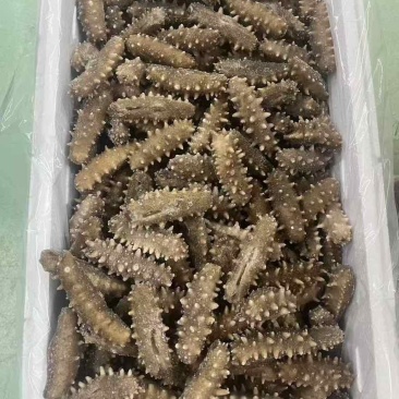 海参，即食海参，辽刺大连海参，厂家直销售，质量保证，规格齐全