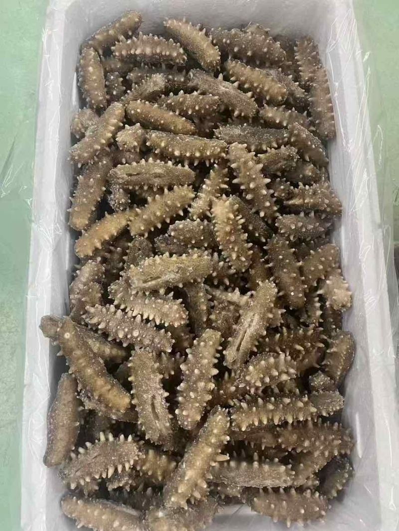 海参，即食海参，辽刺大连海参，厂家直销售，质量保证，规格齐全