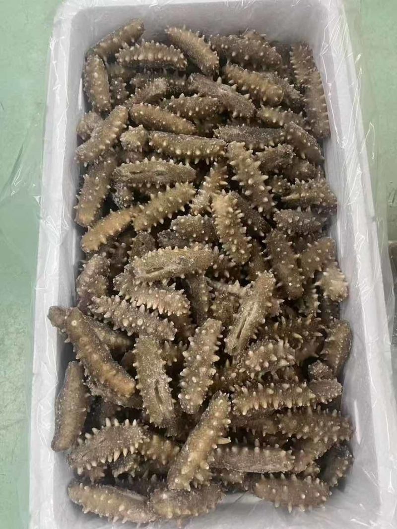 海参，即食海参，辽刺大连海参，厂家直销售，质量保证，规格齐全