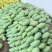 百色田东芒果，支持一件代发代购，欢迎合作，做大做强