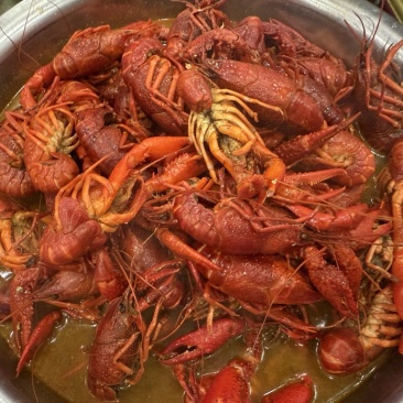 塘南小龙虾🦞，自家养殖