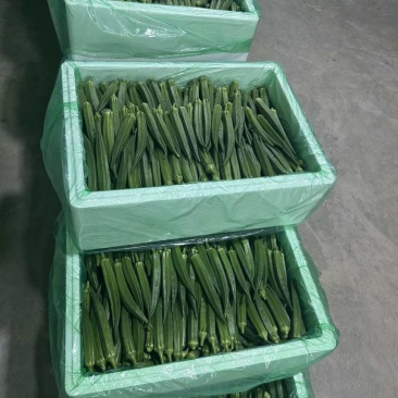 精品秋葵