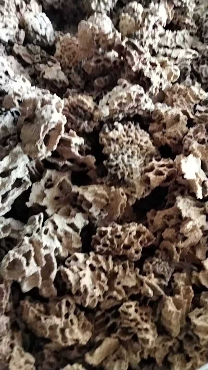 中药材蚂蚁巢