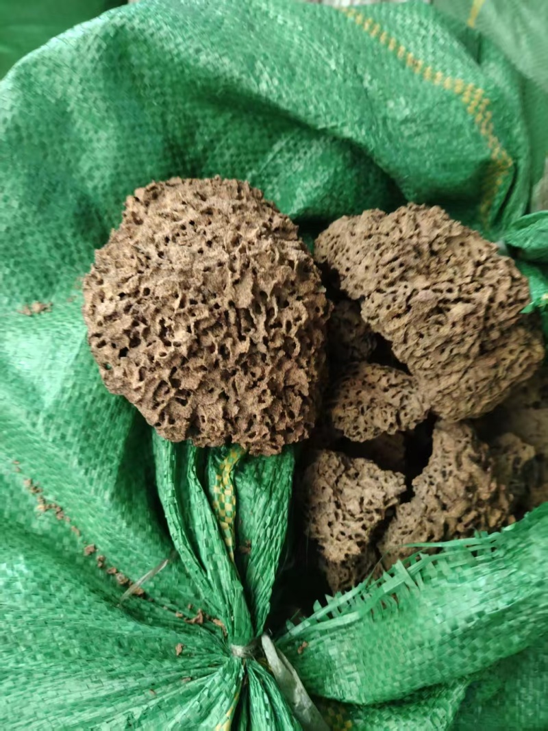 中药材蚂蚁巢