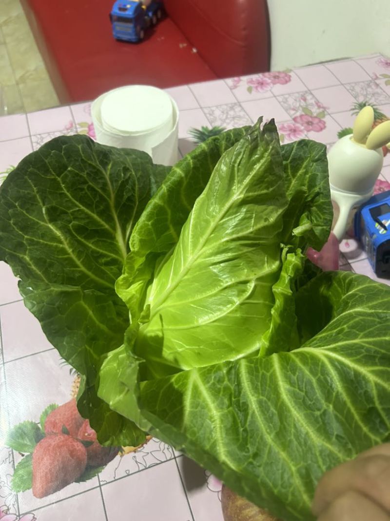 精品牛心