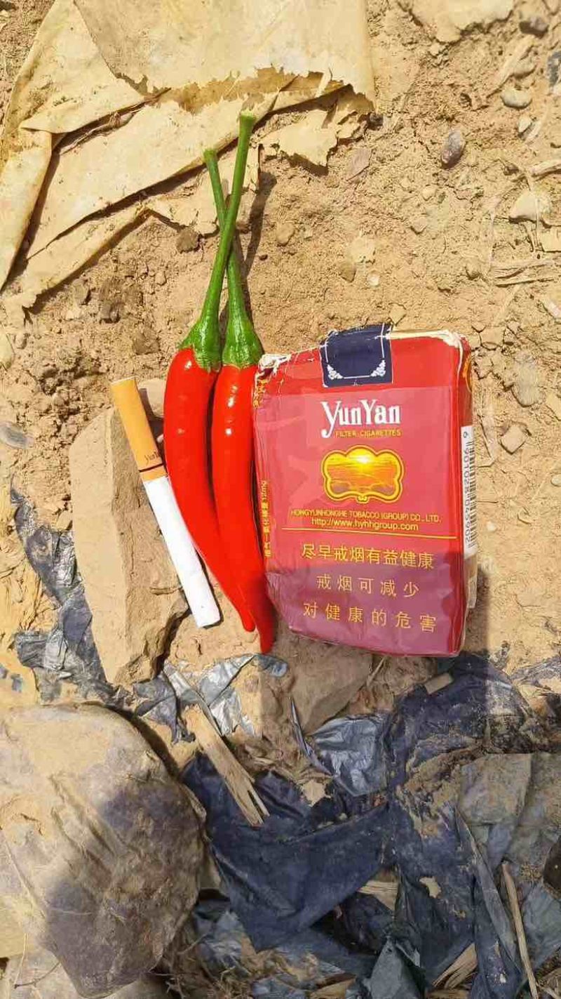 精品米椒