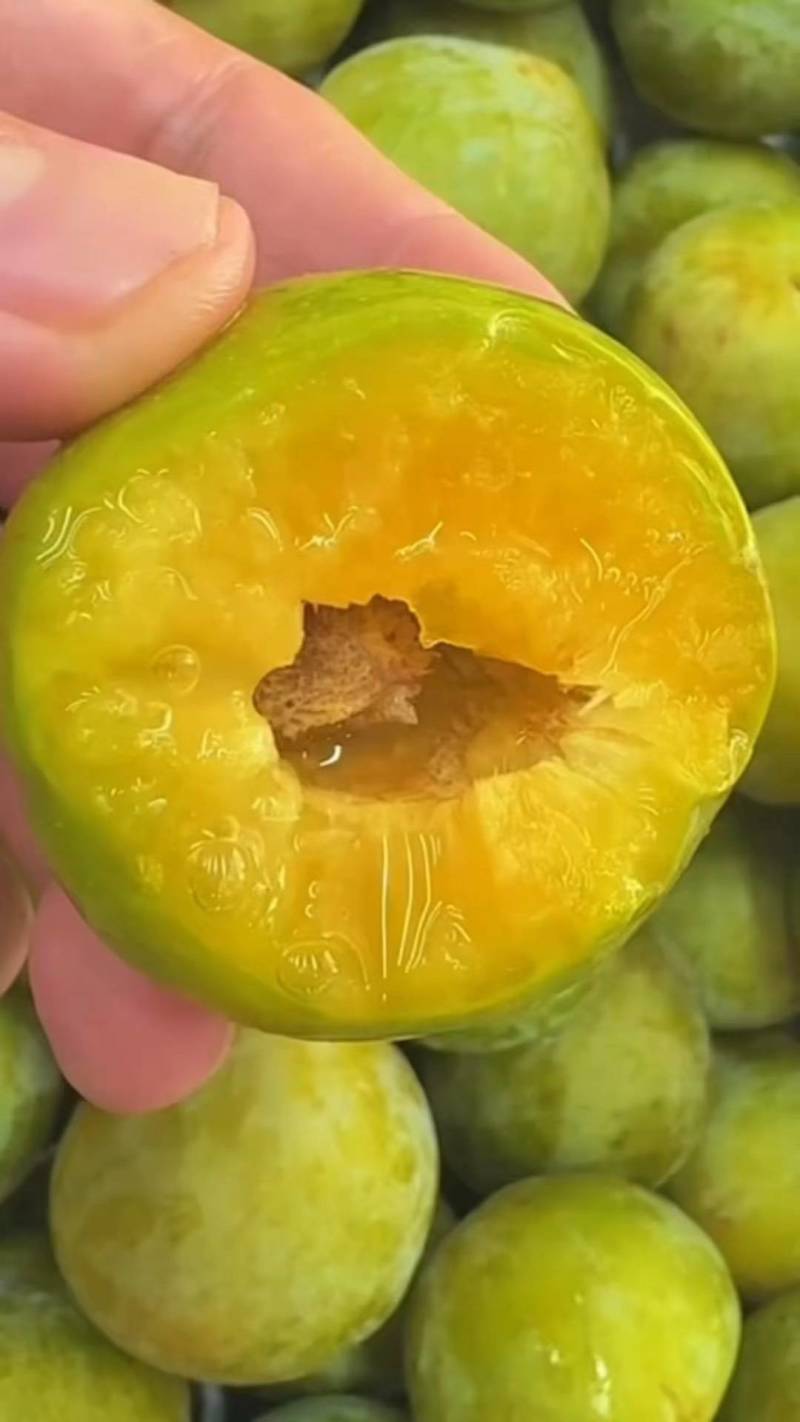 贵州蜂糖李