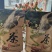 南涧高山茗茶