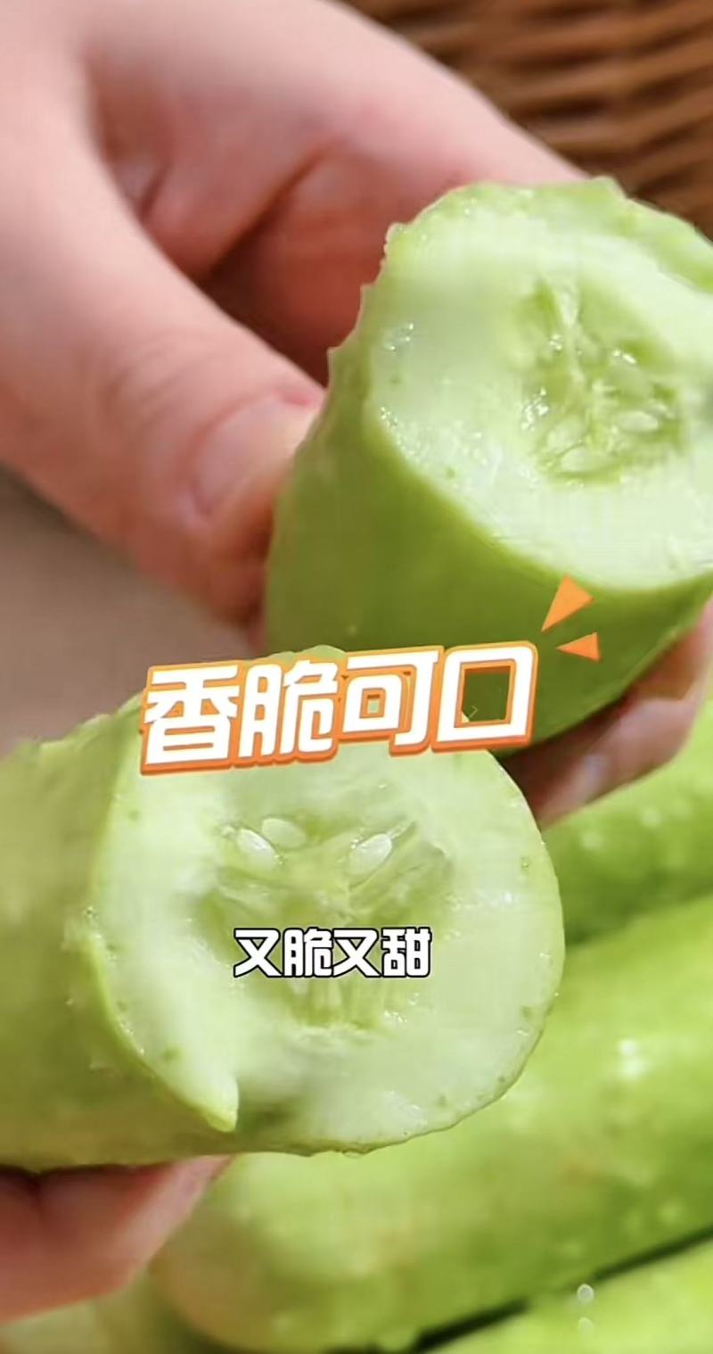 唐山奶油黄瓜