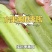 唐山奶油黄瓜