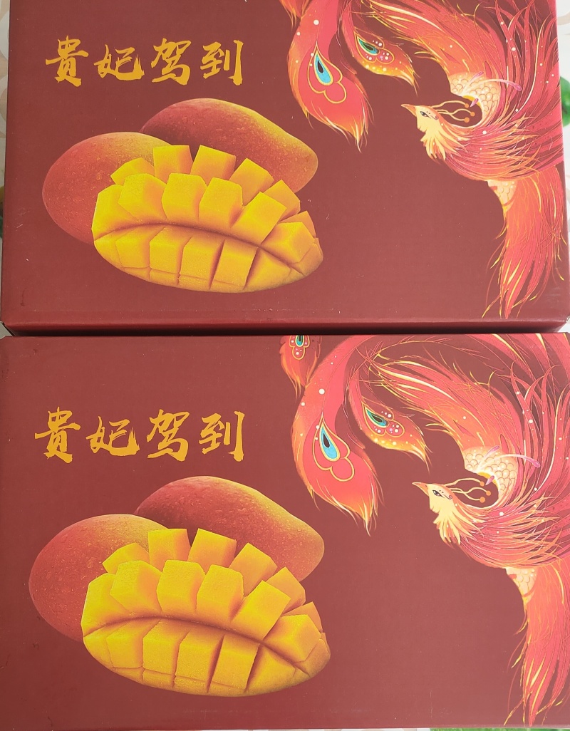 元江热带芒果