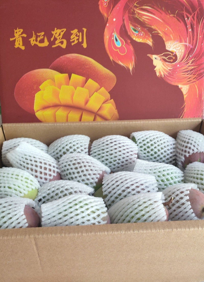 元江热带芒果