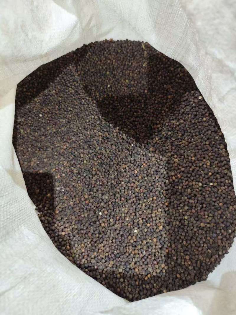 黑胡椒