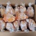 9.5公斤10只11只三黄鸡